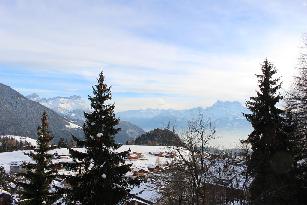 Les Frenes Apartment Leysin Exterior foto