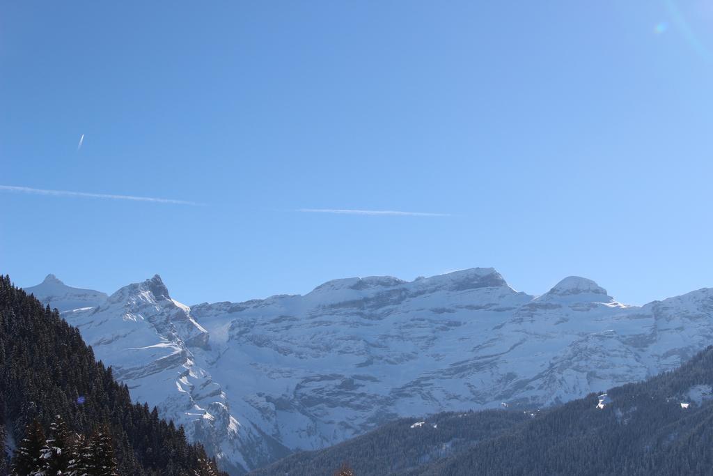 Les Frenes Apartment Leysin Exterior foto