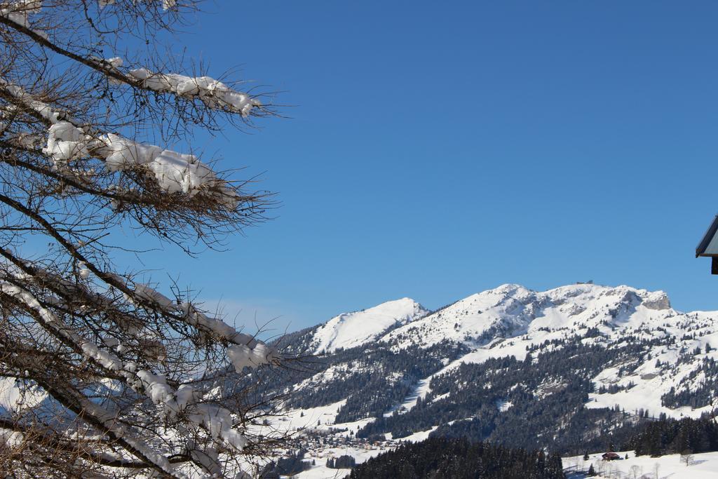 Les Frenes Apartment Leysin Exterior foto