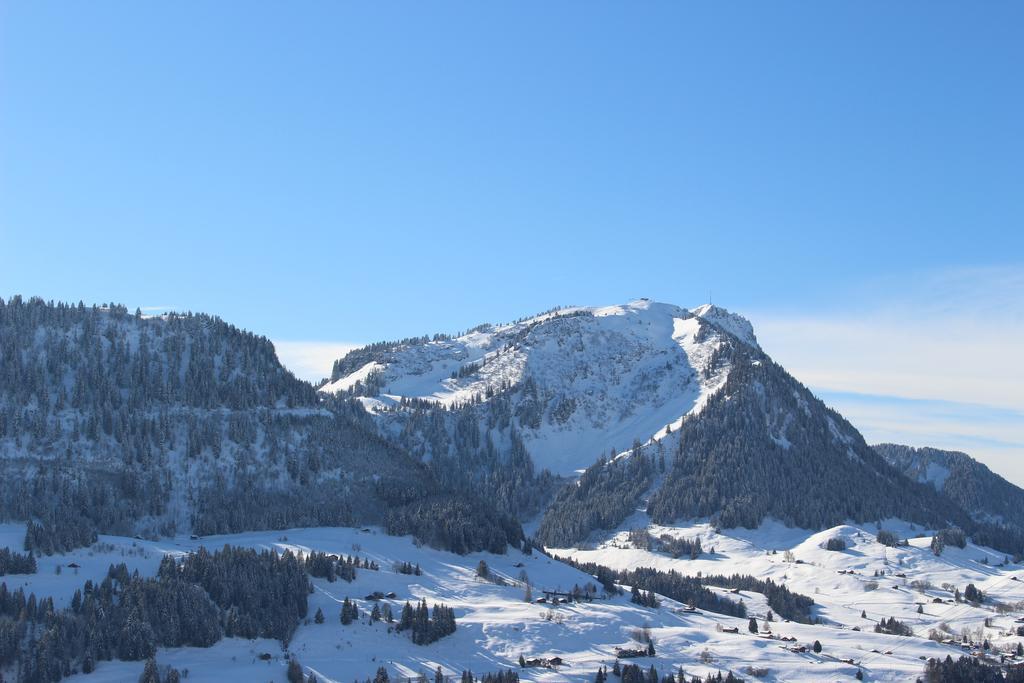 Les Frenes Apartment Leysin Exterior foto
